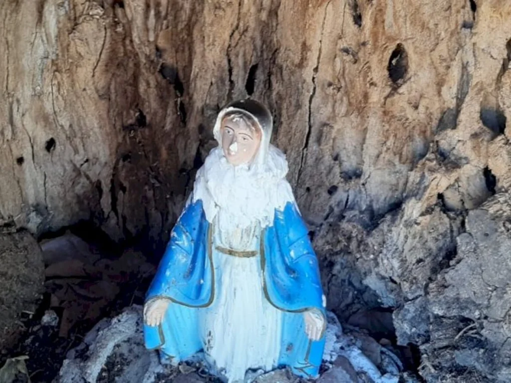 Leitores querem proteção para Santa