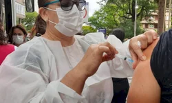 Quebra na lavoura do milho chega a 60% na região