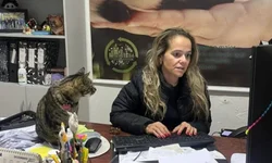 Patrícia Coradini receberá medalha na Assembleia Legislativa