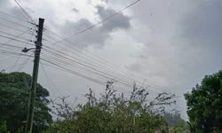 Trânsito será alterado por causa da folia