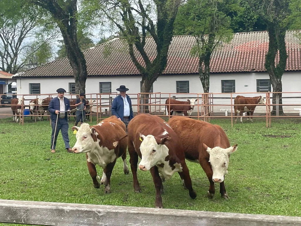 Farm Show 2025 divulga calendário de remates