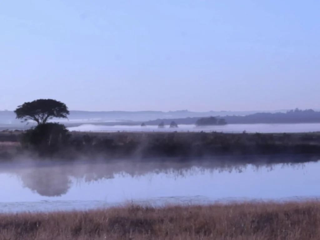 Abertas inscrições para concurso fotográfico sobre inverno no Pampa