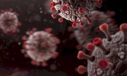 Puérpera morre com covid-19