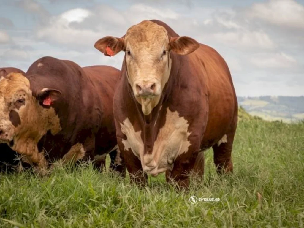 Outubro registra nova alta nos custos de produção