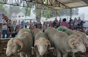 Feovelha se consolida como polo do agronegócio