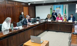 Unipampa lança Cartilha de Combate ao Racismo