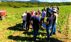 Terra Forte chega a Bagé e outros municípios da Campanha