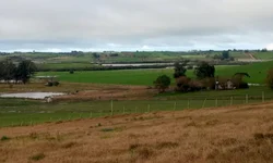 Entidades se manifestam sobre carta aberta à democracia