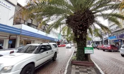 Saque do FGTS teve impacto positivo no comércio