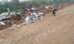 Palmas enfrenta constantes quedas de luz e impactos no cotidiano