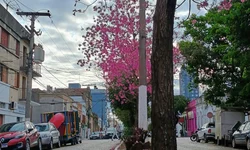 Começa período de pré-matrícula para escolas estaduais