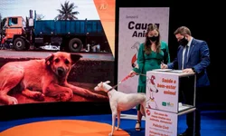 Prefeito recebe homenagem do Exército