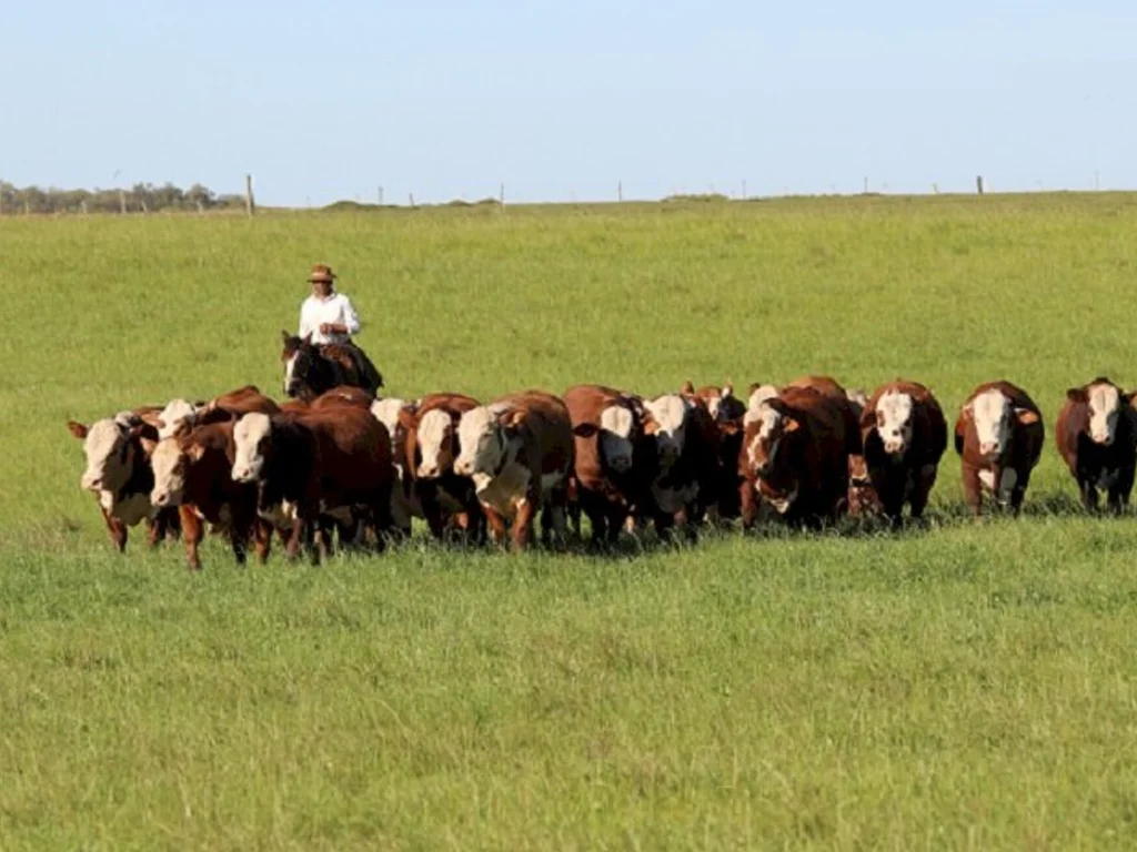 Vencedores do prêmio Top PampaPlus serão agraciados
