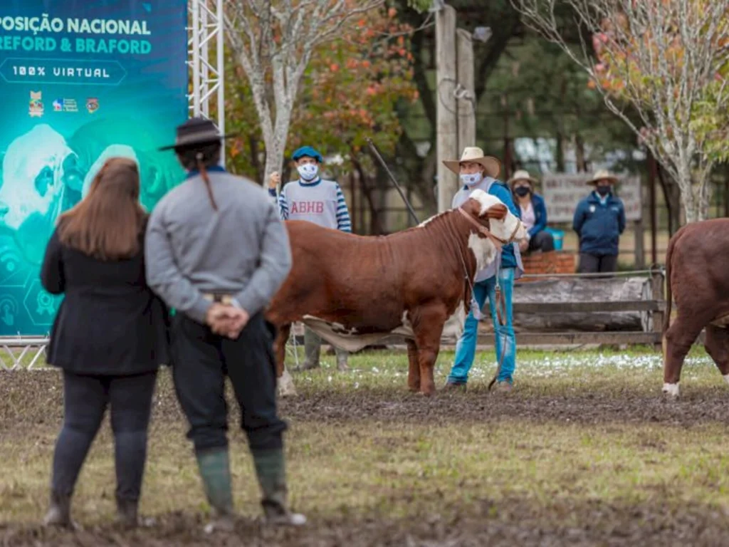 Abertas inscrições para a Exposição Nacional em Bagé
