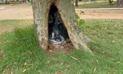 Ano de 2023 terá nove feriados nacionais e cinco pontos facultativos