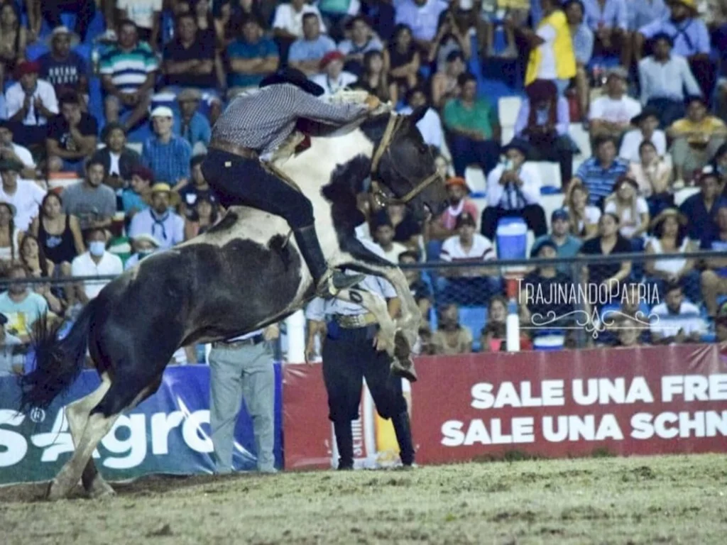 Ginete conquista título em maior rodeio da Argentina