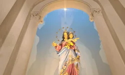 Asilo pede doações de leite