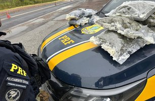 PRF apreende mais de 13 quilos de haxixe e skunk