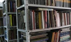 O esporte como aliado às terapias de pessoas com deficiência