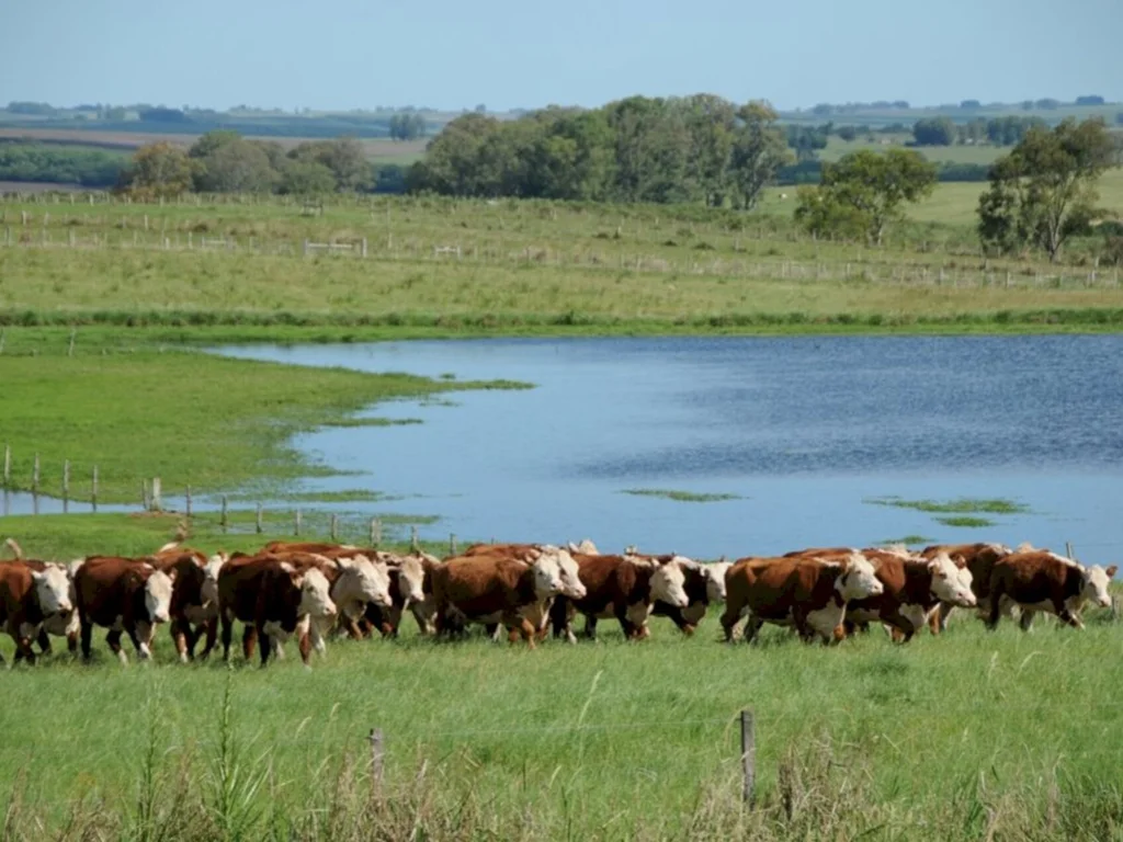PIB gaúcho registra alta de 1,3%