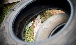 Serrilhada: 29 casas têm água encanada pela primeira vez