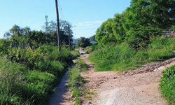 Condições da ciclovia preocupam pedestres e ciclistas