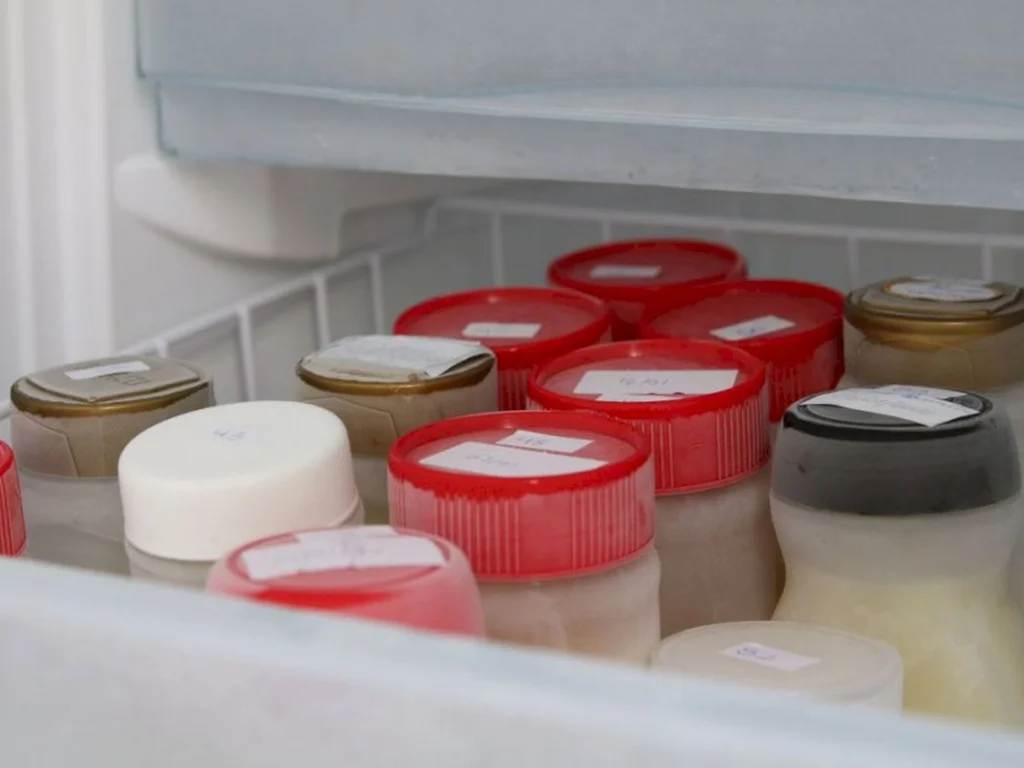 RECORDAR É VIVER / TEMAS PASSADOS VEM A TONA