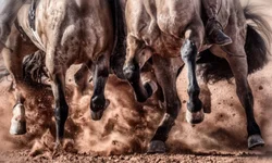 Lula quer taxar os “super-ricos”