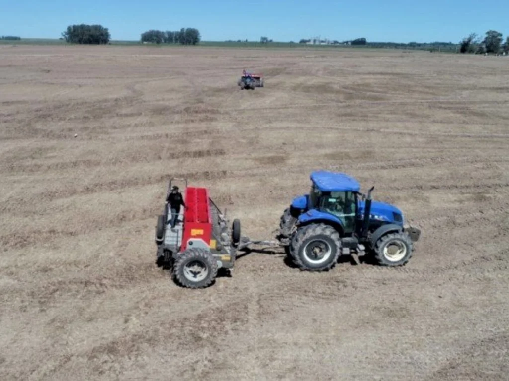 Lavoura de arroz vai encolher no Estado