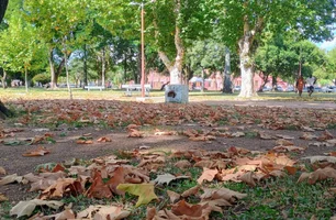 Outono sob El Niño terá temperaturas altas e chuva variável
