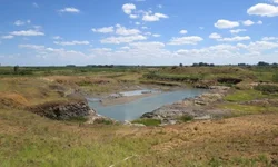 Reencontro depois da covid-19