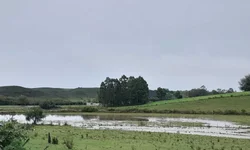 Casal é amarrado e mantido refém em assentamento