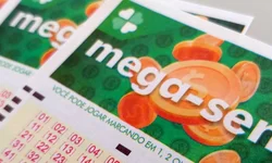 Estado lança plataforma Tudo Fácil Empresas