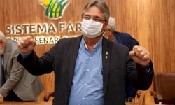 Temporada de leilões da raças Hereford e Braford  registra crescimento