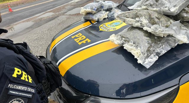 PRF apreende mais de 13 quilos de haxixe e skunk