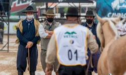 Crioulaço abre o calendário de finais da raça Crioula
