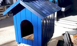 Apenados confeccionam casas para animais