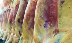 Associação define exposição especial Hereford e Braford