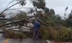 Aprovado projeto que unifica em oito anos o prazo de inelegibilidade