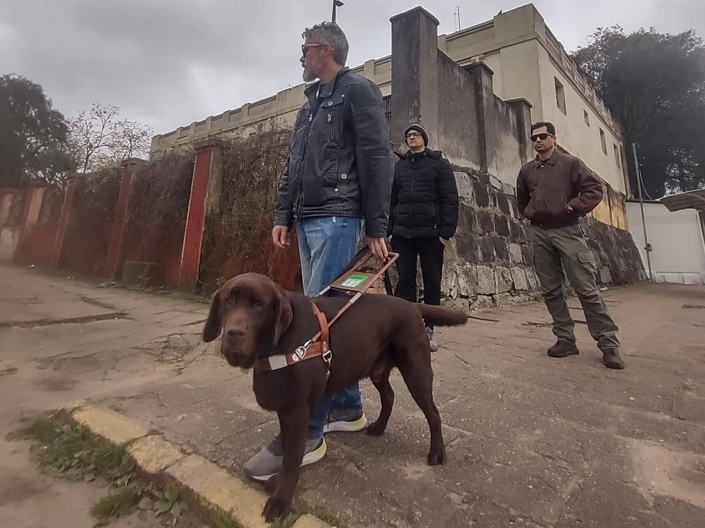 A nova vida de Sandro e Kaiser pelas ruas de Bagé