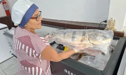 Brigada Militar apreende menor de idade por porte ilegal