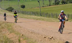 Do Ivo Ferronato para o Mineirão