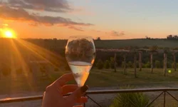 Vacinação ocorre até hoje em dois pontos