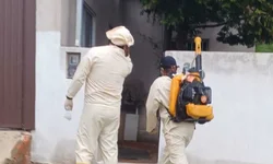 Bagé registra cinco casos confirmados de dengue