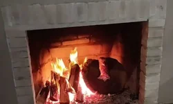 Violência contra idosos é crescente