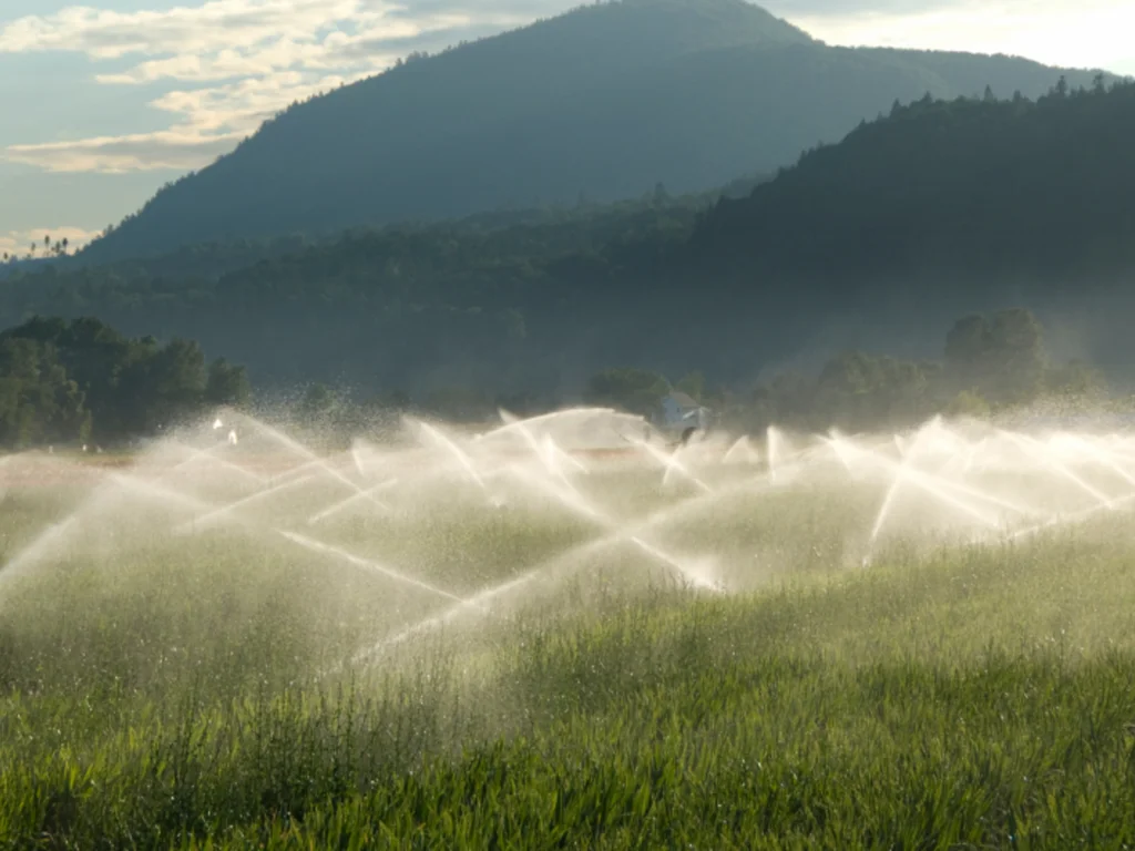 Governo estadual quer mitigar efeitos da estiagem em áreas rurais