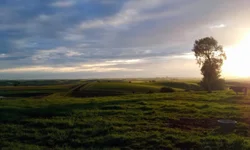 Exposição de lã com leilão beneficente começa hoje