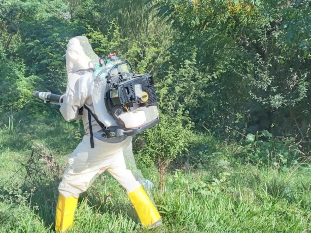 Saúde começa aplicação do fumacê