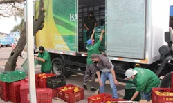 Projeto propõe apresentação de carteira de vacina em eventos