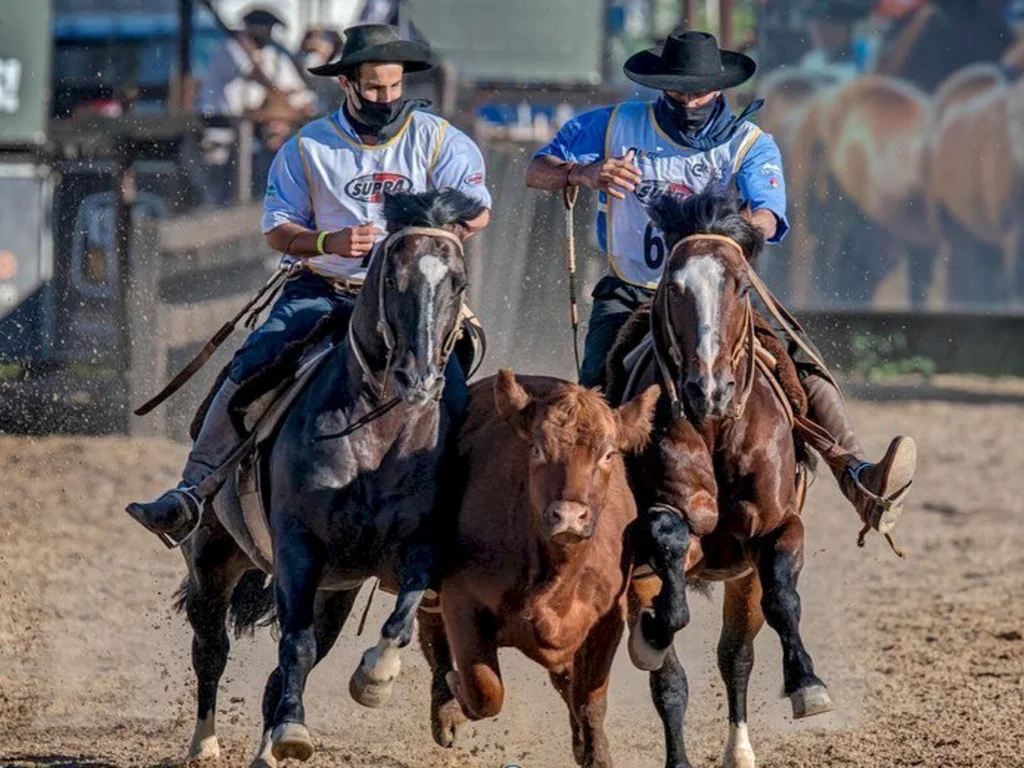 Exemplares são credenciados ao Freio de Ouro